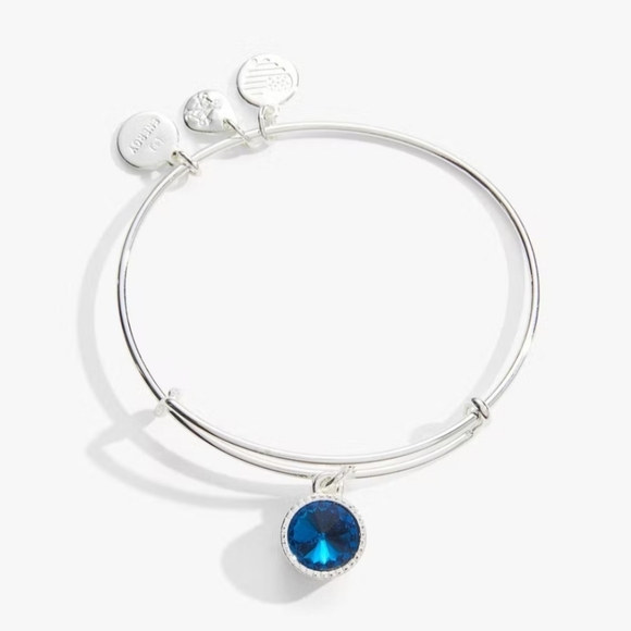Alex and Ani Blue Zircon Charm Bangle Bracelet NWOT - Picture 2 of 7